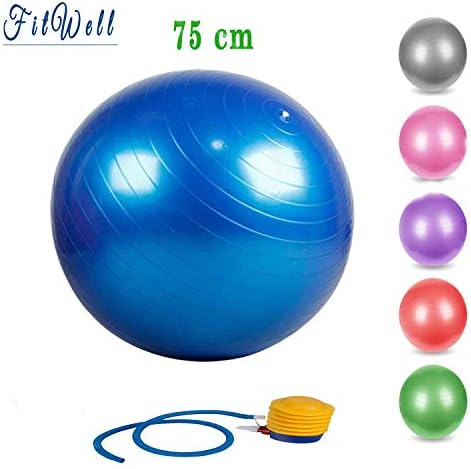 FitWell Gym Ball 75 cm Heavy Duty with Foot Pump Anti Burst Yoga Ball for Exercise & Total Body Fitness for Gym,Home,Office,75 cm (Multicolor)