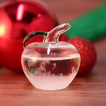 Womdee Storm Glass Weather Forecast, Mini Apple Shape Storm Glass Weather Stations Predictor Nordic Style Decorative Weather Glass for Home Office Decor,Creative Valentine's Day Birthday Gift for Her