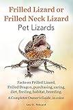 Frilled Lizard or Frilled Neck Lizard, Pet Lizards, Facts on Frilled Lizard, Frilled Dragon, Purchas by 