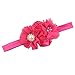 Queengirls Baby Girls Flower Headbands