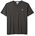 Lacoste Men's Short Sleeve Jersey Pima Reg Fit V Neck T-Shirt-TH6710, Urban Grey Chine, 6