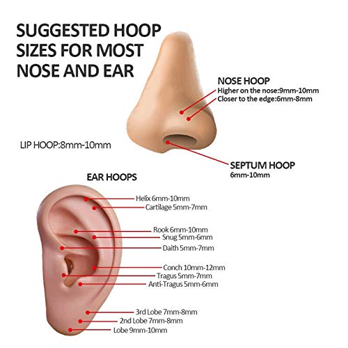 6 Pcs G23 Titanium Body Piercing Rings Hoop 16g 18g Ear Lip Septum Nose Ring Body Piercing Jewelry for Women Men Girls, Gold/Rose Gold/Silver/Black/Blue/Rainbow (18 Gauge, 8mm)