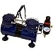 Paasche DA400R 1/4 HP Compressor with Regulator and Moisture Trap