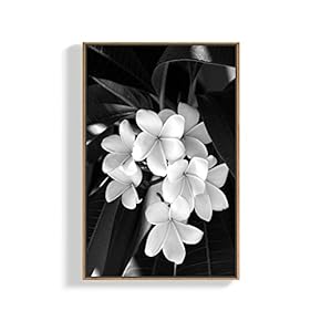 Canvas Wall Art for Living Room, Bedroom Plants Framed Canvas Prints for Home Decoration Ready to Hang - 16x24 inches