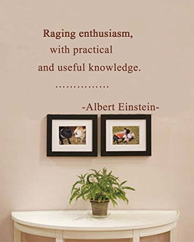 Raging enthusiasm, with practical and useful knowledge. Removable PVC Wall Sticker Words Sign Quote 20x24 inches