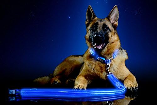 Premium LED Reflective Dog Leash, USB Rechargeable, Available in 6 colors (Electric Blue)