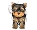 Winston & Bear 3D Dog Stickers - 2 Pack - Adorable Brown Yorkie Stickers for Wall, Fridge, Toilet and More - Yorkie Gifts - Retail Packaged Yorkshire Terrier Wall Decals