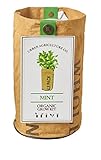 The Urban Agriculture Organic Grow Kit - Mint