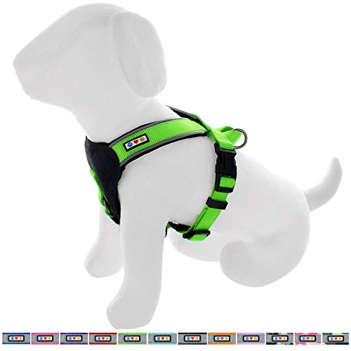 Pawtitas Pet Training Soft Adjustable Reflective Padded Puppy / Dog Harness Extra Small Green