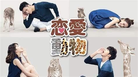 Amazon Blu Ray中国ドラマ 恋愛動物 Blu Ray ブルーレイ 華流ドラマ 全話収録 台湾 おもちゃ ホビー