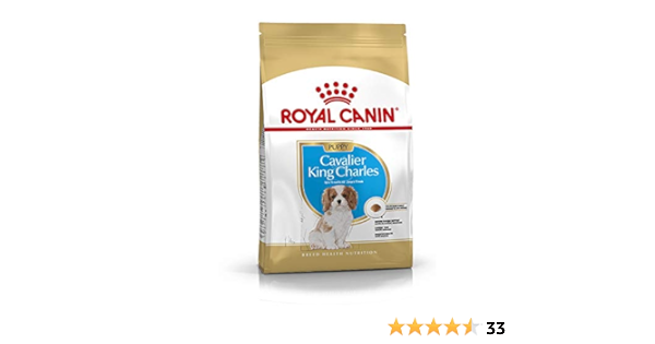 royal canin king charles cavalier puppy