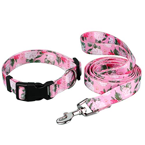 quick release dog collar
