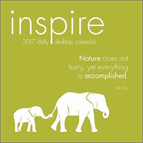 2017 INSPIRE 365 Page-A-day Box / Desk Calendar