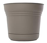 Bloem, Peppercorn SP1260 Saturn Planter, 12-Inch