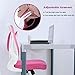 Office Chair Desk Chair Computer Chair Back Support Modern Executive Mesh Chair with Adjustable Armrest Rolling Swivel Chair for Home&Office, Pink
