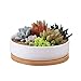 Y&M(TM) Succulent Planter Ceramic with Bamboo Tray, 6 inch Modern White Ceramic Round Design for Succulent Planter Cactus Pots Decorative Flower Holder Bowl Basin,Tub