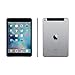 Apple iPad Mini 4, 32GB, Space Gray - WiFi (Renewed)