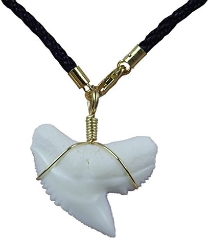 GemShark Shark Tooth Necklace Real Tiger Shark Week 14 K Gold Pendant Choker with Black cord Chain
