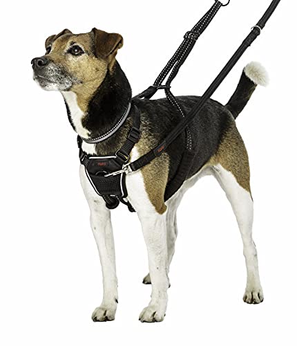 no pull harness for small dogs