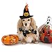 Rypet Cat Halloween Costume Halloween Cat Collar with Bells and Halloweens Pumpkin Hat Cats Costume Suit for Cats and Small Dogs