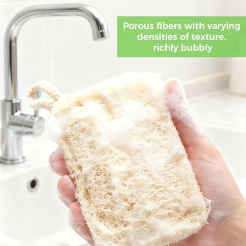 6 Pieces Loofah Natural Scrubber 9 x 14 cm, Loofah Sponge, Natural Loofah Kitchen Scourer, Stain Resistant, Oil Repellent, Highly Absorbent, for Bathrooms/Kitchens/Countertops