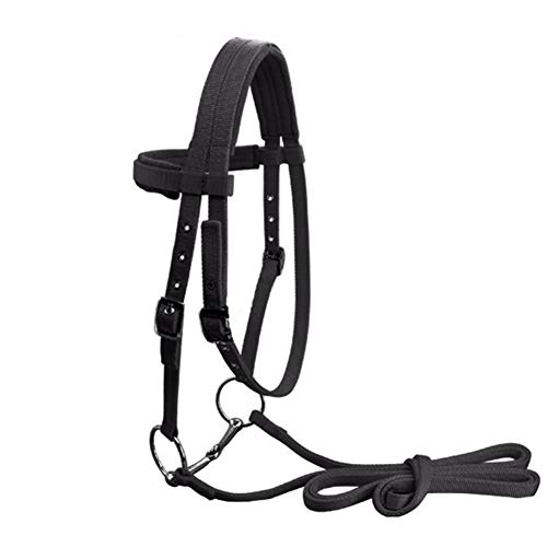 Flytianmy Adjustable Nylon Horse Halter Bridle with Bit and Rein Belt (Black, Large Horse)