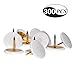 Joyous Journey Colorful Push Pins, 3/8 Inch Plastic Coated Round Head with 5/16 Inch Stainless Steel Point Thumb Tacks, 300 PCS (White)