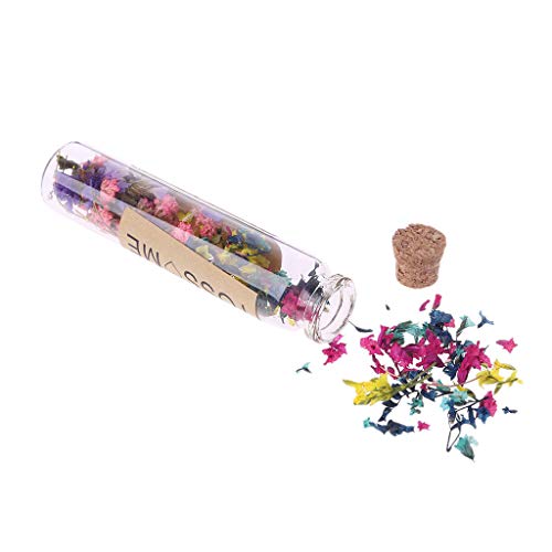 Because0f Dried Flower Confetti Bottle, Push Pop Container, Bridesmaid Shooters Wedding Birthday Party Favors Supplies (#33)