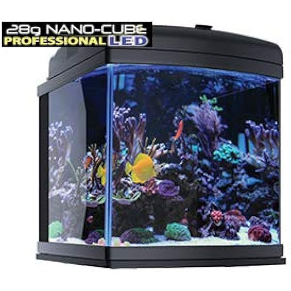 nano cube aquarium