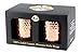 Premium Moscow Mule Copper Unlined Mug, 100 Percent Pure Solid Copper (16-Ounce, Hammered, Set of 2)