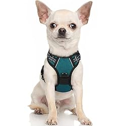 rabbitgoo Dog Harness, No-Pull Pet Harness with 2