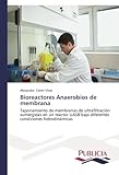 Image de Bioreactores Anaerobios de membrana: Taponamiento de membranas de ultrafiltración sumergidas en un reactor UASB bajo diferentes condiciones hidrodin