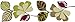 Cameroon Stripe Decal