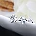 Womens Sterling Silver Cubic Zirconia Round Cut Rhinestone Stud Earrings Roseate Jewelry