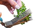 Herb Scissors Best Quality - Easy Clean Multipurpose 5 Stainless Steel Blades Kitchen Shears - Ergonomic Design with Cleaning Comb - Heavy Duty Durable Culinary Cutter with Sharp Blade - Blue Color