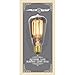 Globe Electric 01321 60W Vintage Edison S60 Squirrel Cage Incandescent Filament Light Bulb, E26 Base, 220 Lumens, 2200 Kelvin, Edison Bulbs, Vintage Light Bulbs, E26 Light Bulb, Home Improvement