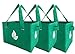 Birsppy Reusable Grocery Shopping Box Bag Deluxe Set Large Foldable Collapsible Box Tote with Extra Long Handles Reinforced Bottom and Sides in Eco Green Color (Set of 2)