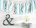 First Birthday Boy Decorations Baby Blue White Grey Baby Boy First Birthday Party Decorations Tissue Paper Pom Pom Tassel Garland Circle Garland for Gey Elephant Baby Shower Decorations Boy