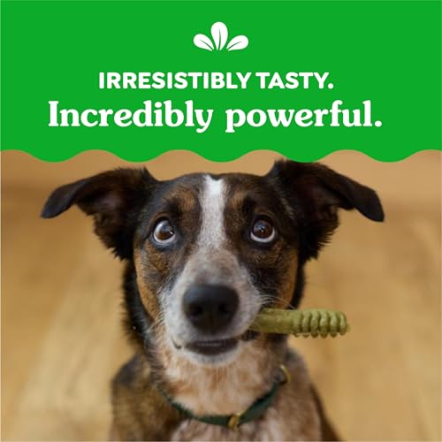 GREENIES REGULAR NATURAL DENTAL CARE DOG TREATS, 36 OZ. VARIETY PACK, 3 PACKS OF 12 OZ. TREATS
