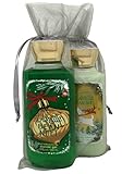 Bath & Body Works Vanilla Bean Noel Gift Set Bundle of Shower Gel and Body Lotion