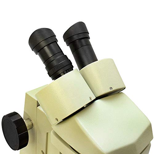 PROLINEMAX Binocular Stereo Microscope 1x 3X Objectives LED Illumination Scientific Scope