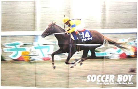 いろいろ サッカーボーイ 馬 サッカーボーイ 馬体重 Pngfreegejpxnty