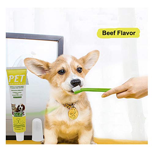 Puppycute 2 Pack Pet Toothbrush and Toothpaste for Dogs & Cats, Best Soft Silicone Pet Finger Toothbrush for Small Dogs Puppy Doggy, Dog Toothpaste Beef Flavor - Thumbnail 3