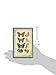 Graphic 45 Nature Sketchbook Ephemera Cards