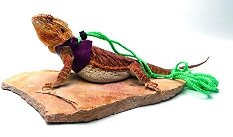 Ogle Lizard Leash, Limited Edition Sparkly Fuschia (large size)
