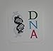 DNA enamel pin