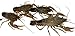 Toledo Goldfish Live Crayfish for Koi Ponds, Goldfish Aquariums or Tanks – Live Crawdads – Born and Raised in The USA – Live Arrival Guarantee (10 Count)thumb 4