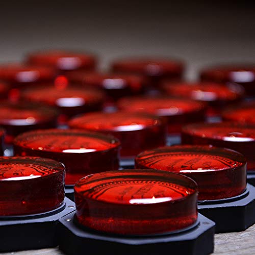 5 Holstein+Premium+Violin+Viola+Cello