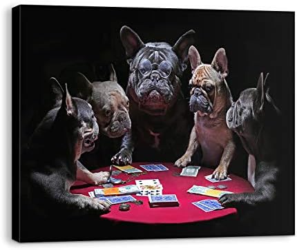 frenchies playing