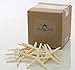 Starfish Decor - Star Fish for Craft - 10pk Real 3-4